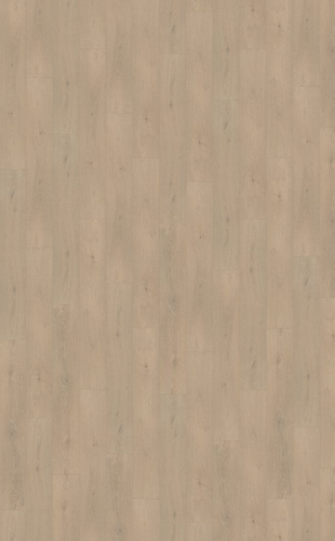 Belakos Palazzo 740 | Rigid Click