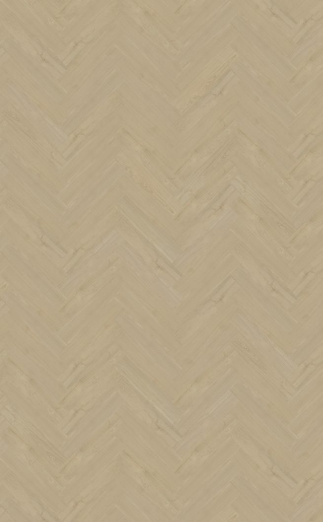 Belakos Portico visgraat XL 57