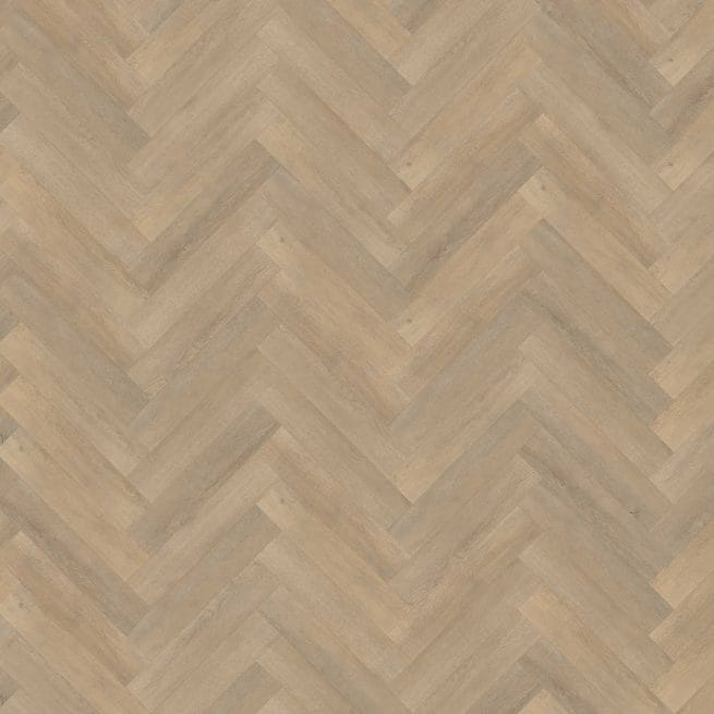 Belakos Palazzo visgraat XL 71