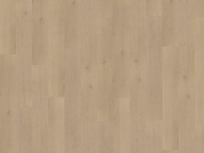 Belakos Palazzo 770 | Rigid Click