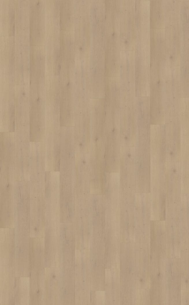 Belakos Palazzo 770 | Rigid Click