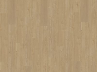 Belakos Portico 560 | Rigid Click