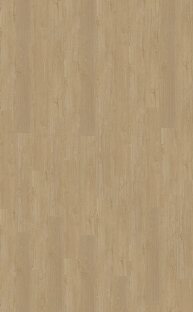 d2279bd2-b0f3-45e7-a3a4-b9972471ce87 Belakos Portico 560 | Rigid Click