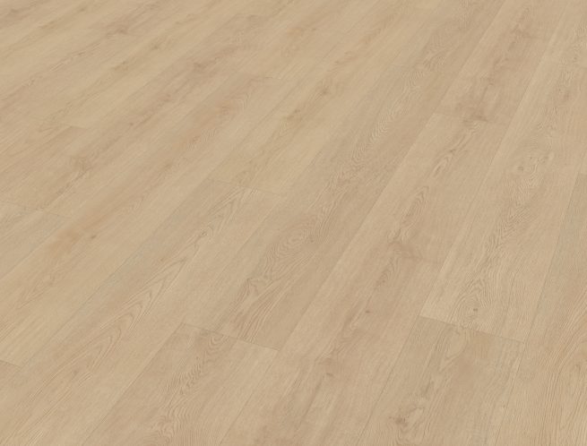 Belakos Monastro 920