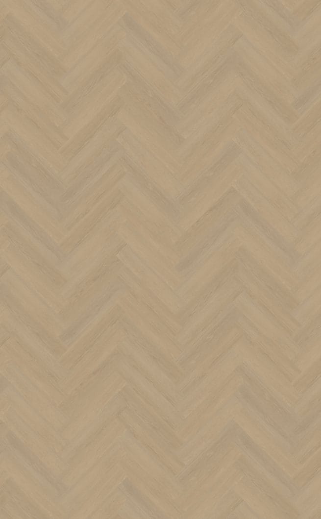 Belakos Futuro visgraat 52 | Rigid Click