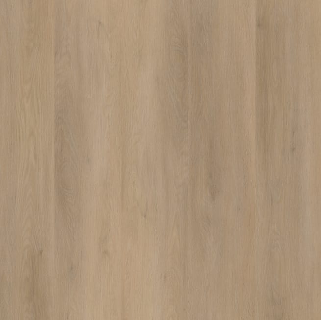 1d178898-6560-429a-87aa-2b615d5831f3 Ambiant Sentima Beige