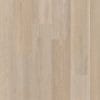 Therdex Premier Serie 15083