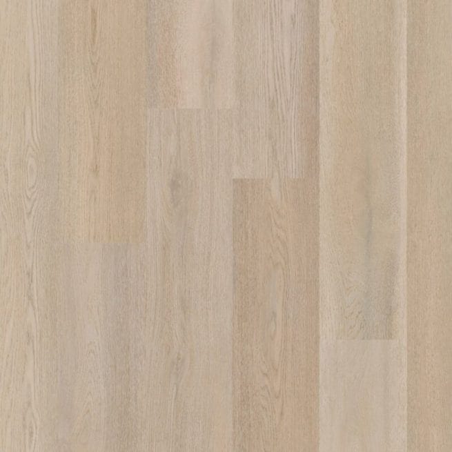 Therdex Premier Serie 15083
