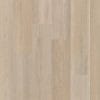 Therdex Premier Serie 15083