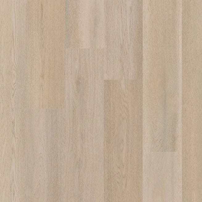 Therdex Premier Serie 15083