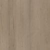 5fea6c4b-e2a6-4ab5-9bed-8d735c8125f7 Ambiant Venera Smoky src