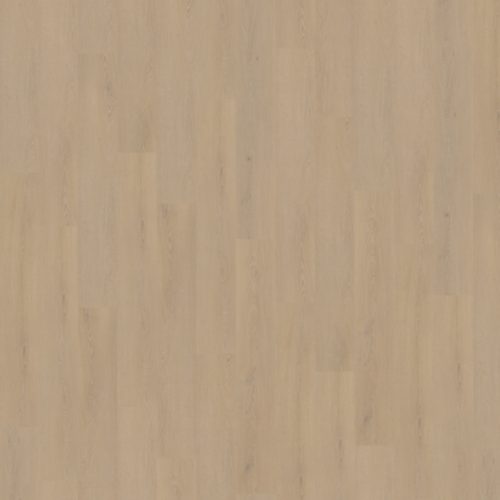 Belakos Cervo 200 Rigid Click