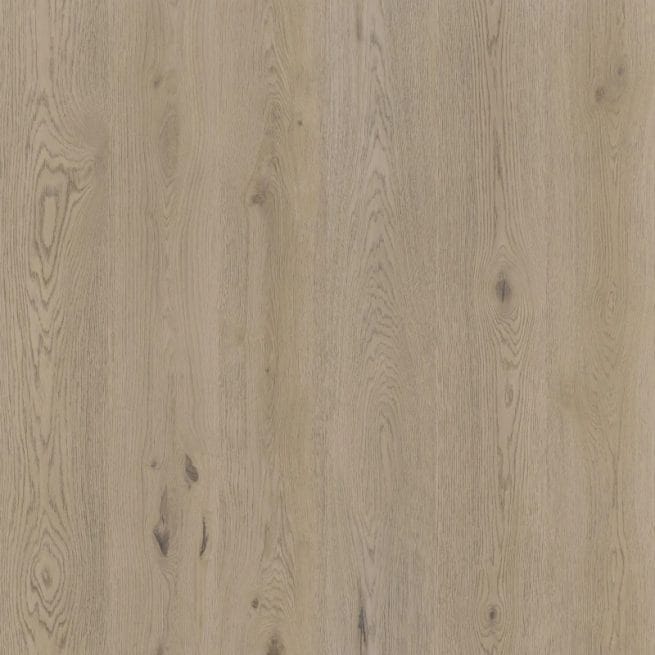 9b8d4b42-9a06-42eb-b6b1-aa014c4e54a5 Therdex Authentic Serie 15061