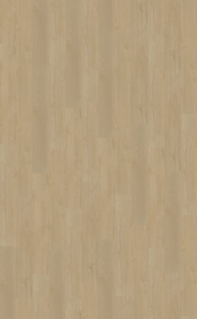 Belakos Portico 550 | Rigid Click