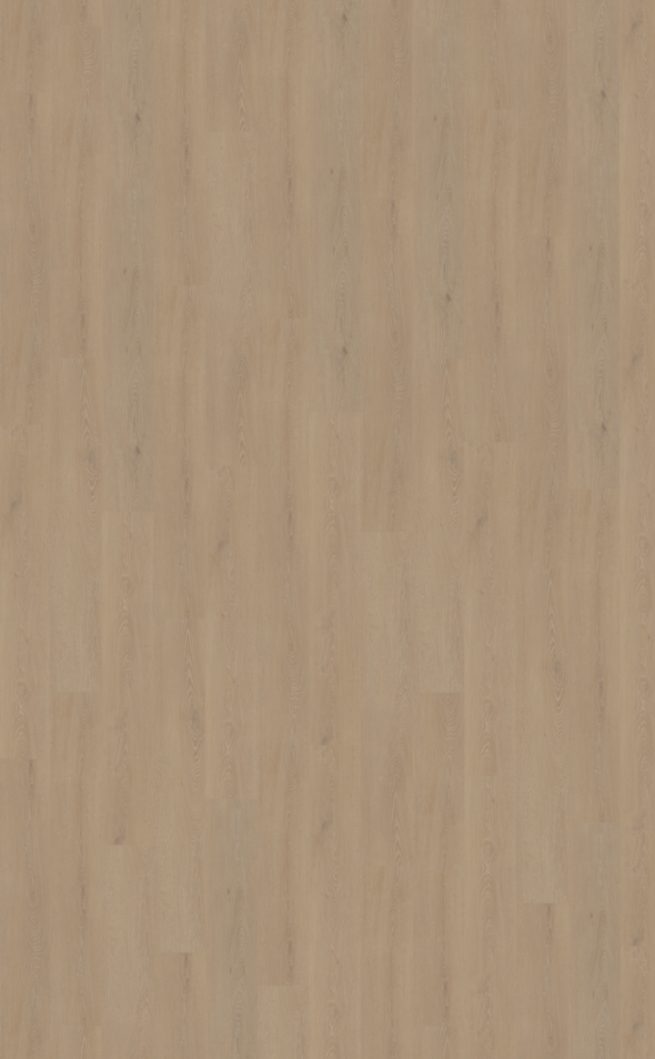 Belakos Cervo 210 Rigid Click