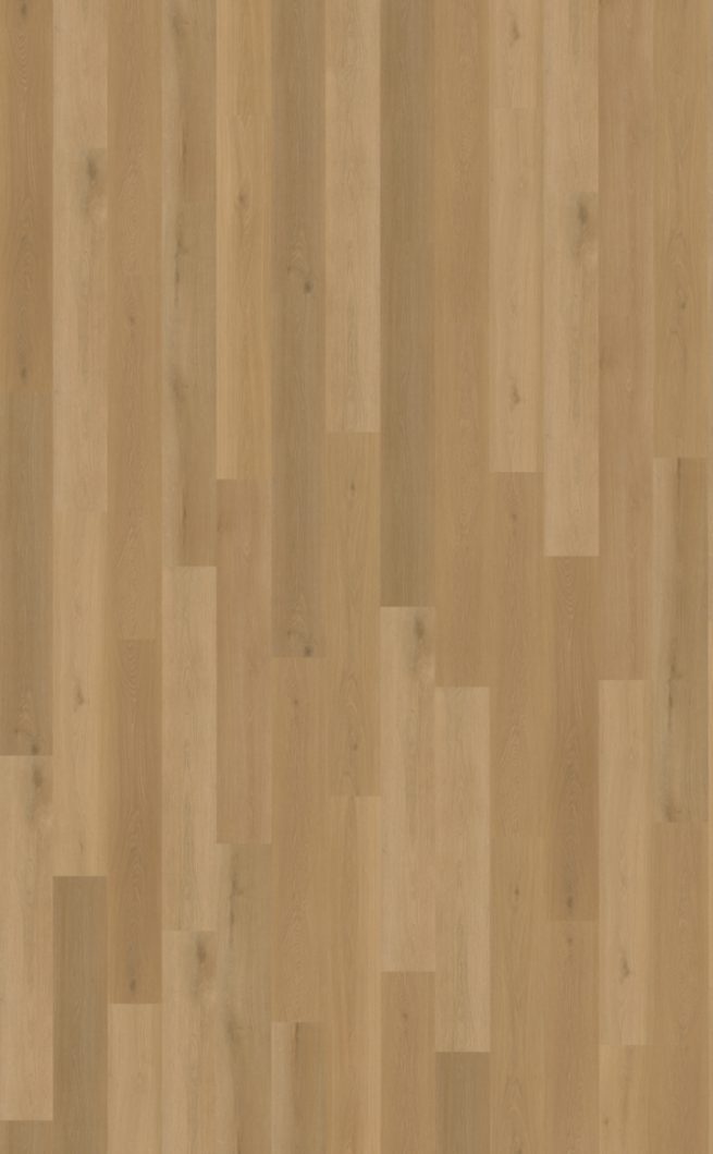 Belakos Borgo 320