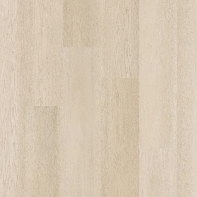 Therdex Premier Serie 15081